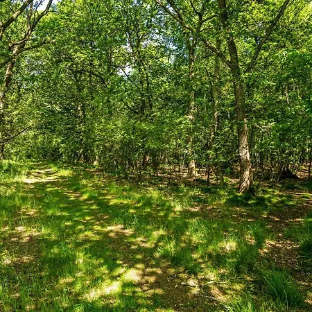 Gorgeous In With Wifi Tatil Evi